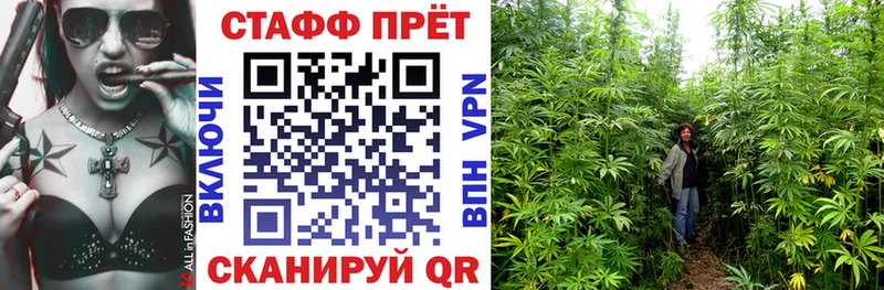 Наркошоп купить A-PVP  Мефедрон  Гашиш  Канабис  Пересвет
