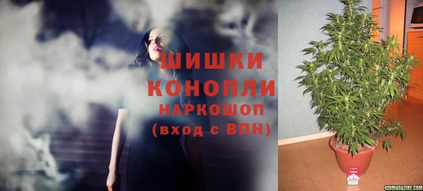 ECSTASY Ладушкин