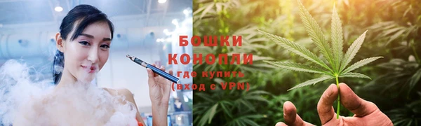 ECSTASY Ладушкин