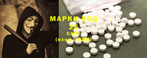 ECSTASY Ладушкин