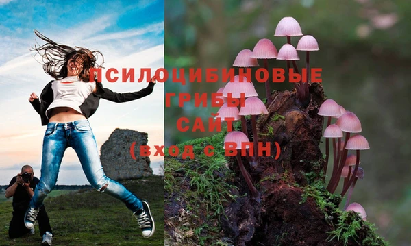 ECSTASY Ладушкин
