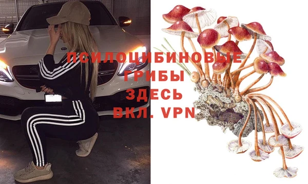 ECSTASY Ладушкин